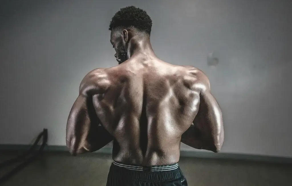 The Best Exercises for Massive Shoulders